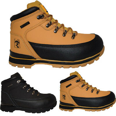 Maxsteel Lightweight Safety Boots With Steel Toecap SB in Black And Honey Colour ( MS25 )